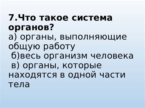 Загадочные органы, выполняющие важную задачу