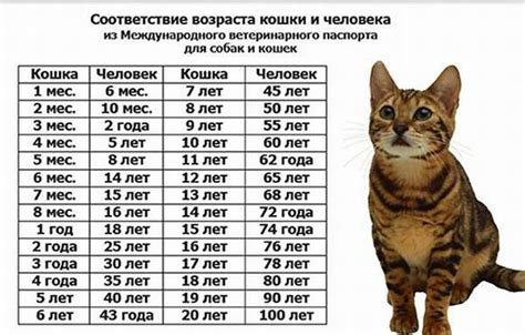 Заголовок: Значения в мяукающем крике кошки