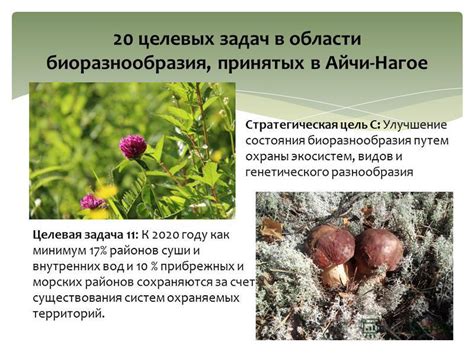 Законодательство охраны генетического разнообразия растений в Российской Федерации