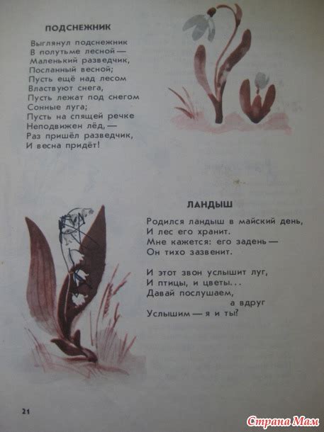 Замечательные стихи с оригинальной римой и их глубокое значение