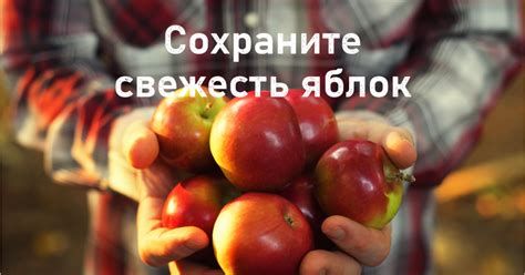 Замораживание фруктов: способ сохранить вкус и питательность на долгие месяцы