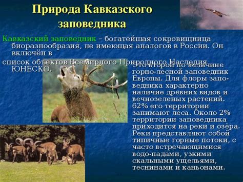 Заповедник: особенности и его значение для биоразнообразия