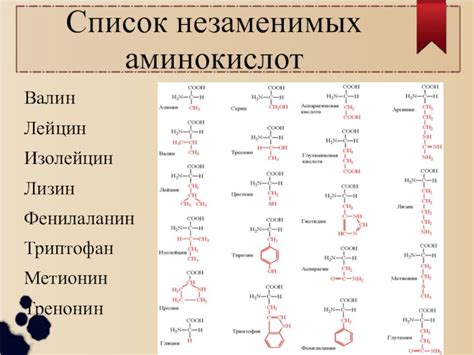 Заполнение дефицита аминокислоты