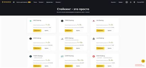 Запуск Binance Pay: пошаговое руководство для новичков