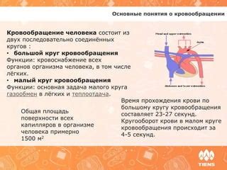 Затруднения с движением крови и препятствия в кровообращении