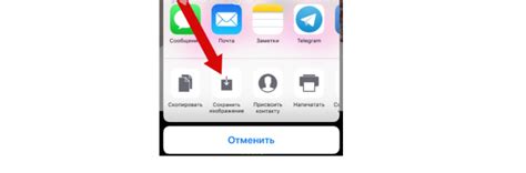 Зачем иметь качественное изображение в профиле в Телеграме: роль эстетики и визуального впечатления