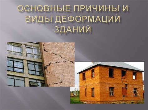 Зачем сороки выбирают крыши зданий: основные причины их предпочтения