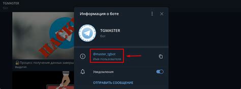 Зачем Telegram применяет ограничения к аккаунтам и какие негативные последствия это может повлечь