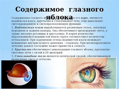 Защита и восстановление глазного яблока