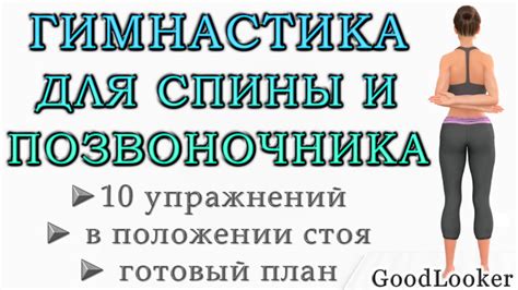 Защита и гибкость: значимость узелков в структуре позвоночника