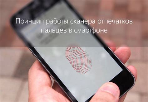 Защита персональных данных с помощью сканера отпечатков пальцев на смартфоне