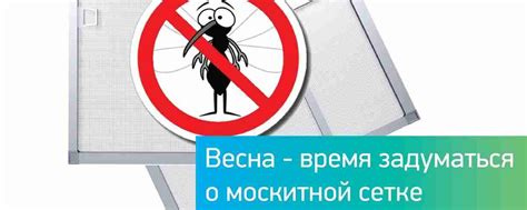 Защитите свой дом от насекомых с помощью сеток на окна и двери