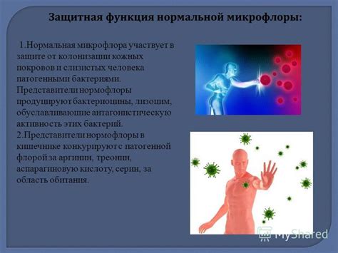 Защитная функция тирозина от стрессовых ситуации