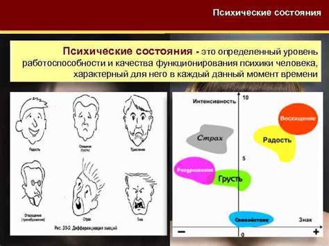 За что отвечает состояние психики в пожилом возрасте