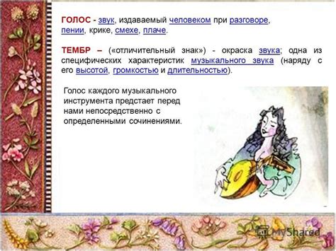 Звук, издаваемый дыней при постукивании