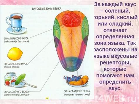 Звук капель: влияние на восприятие вкуса