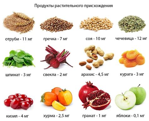 Здоровые продукты для поддержания высокого уровня гемоглобина: полезные выборы