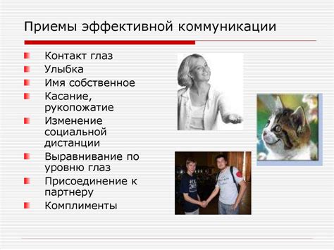 Здоровые способы коммуникации и эффективное общение