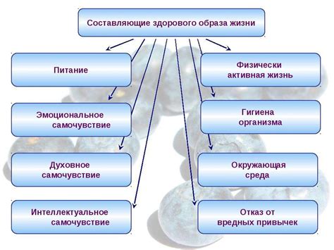 Здоровый образ жизни и регулярные уходовые процедуры: ключевые факторы в ускорении роста волос