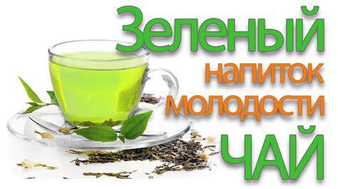 Зеленый чай: полезный ингредиент для устранения негативных последствий употребления алкоголя