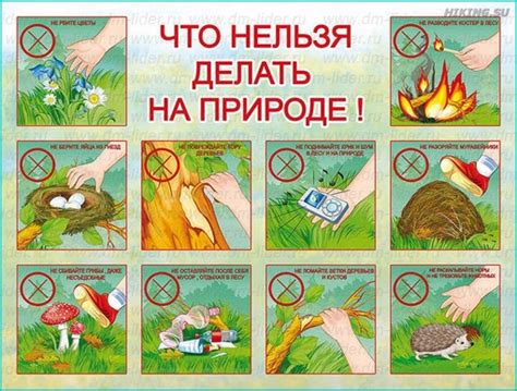 Знаки изменения поведения животных: как понять, что происходит в природе