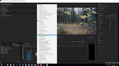 Знакомство с эффектом противоположного изображения в видеоредакторе от Adobe