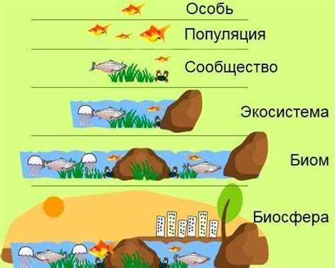Значение Гольфстрима для экосистемы