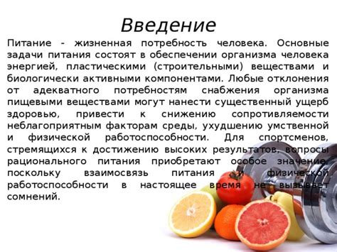 Значение адекватного питания для эффективных занятий спортом