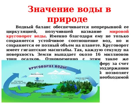 Значение воды в процессе орошения капусты