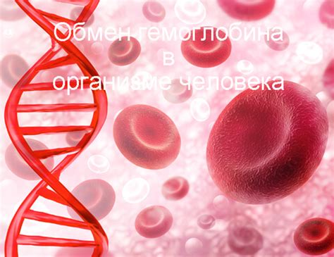 Значение гликозилированного гемоглобина в организме человека