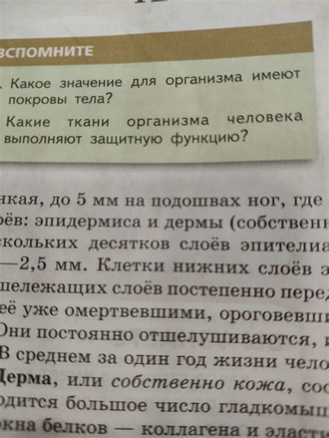 Значение гомогената для организма