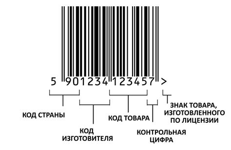 Значение и важность ЕАН 13 в процессе проверки