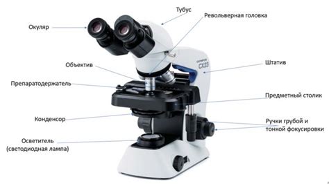 Значение микроскопа школьного уровня