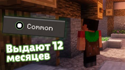 Значение плаща в игре Minecraft PE 1.20