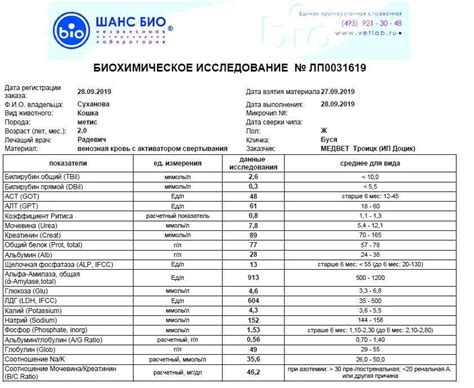 Значение повышенного уровня глобулина у кошки