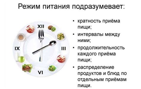 Значение правильного питания и режима для усиления функциональности ноздрей