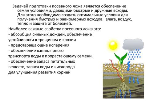 Значение правильной почвы и ее обработки