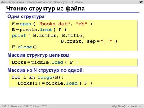 Значение процедуры «очистки вводимых данных» в языке программирования Питон