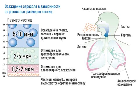Значение раннего выявления преграды в дыхательных путях у детей