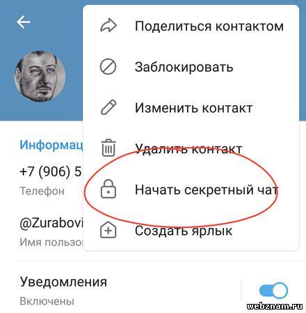 Значение титула в приложении Telegram