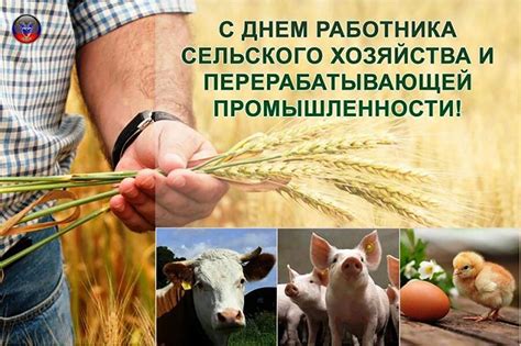 Значимость знания пропорций бычьего телосложения для сельского хозяйства