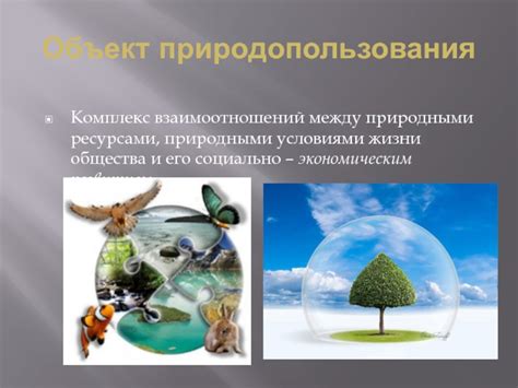 Значимость изучения отличий между природными ресурсами и природными условиями