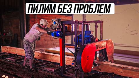 Значимость настройки роликов на ленточной пилораме кедр
