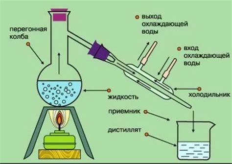 Значимость процессов ферментации и дистилляции в изготовлении коньяка