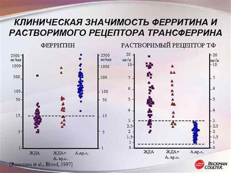 Значимость ферритина в организме