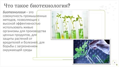 Значимость Neisseria subflava 10 4 кое мл в медицине и биотехнологии