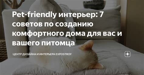 Золотые правила создания комфортного дома для вашего питомца