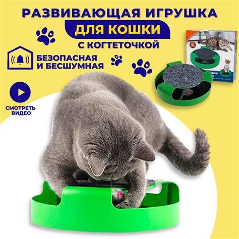 Играют в кота с мышкой: увлекательные игрушки для развития охотничьего инстинкта!