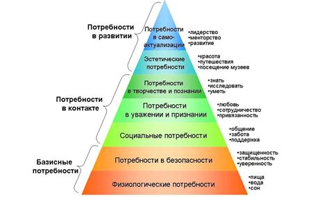 Идентификация основных потребностей тамагочи