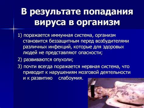 Избегайте попадания вируса в организм: средства профилактики